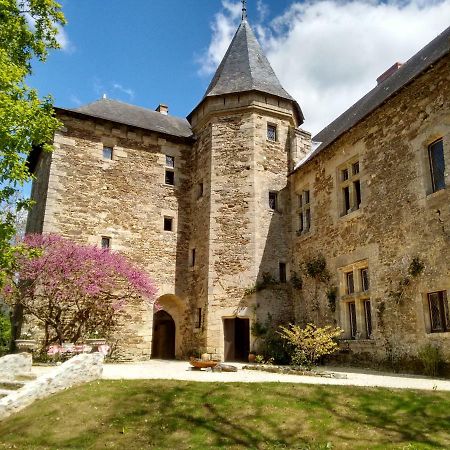 Chateau De Chanze Faye-d'Anjou Kültér fotó