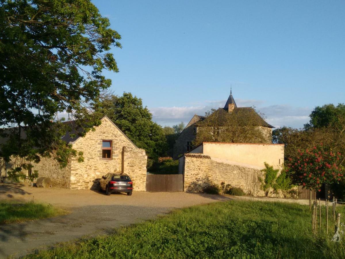 Chateau De Chanze Faye-d'Anjou Kültér fotó