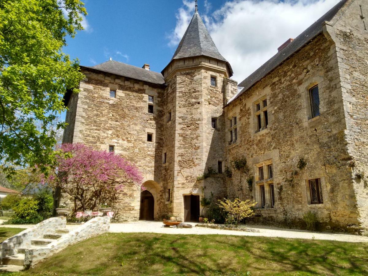 Chateau De Chanze Faye-d'Anjou Kültér fotó