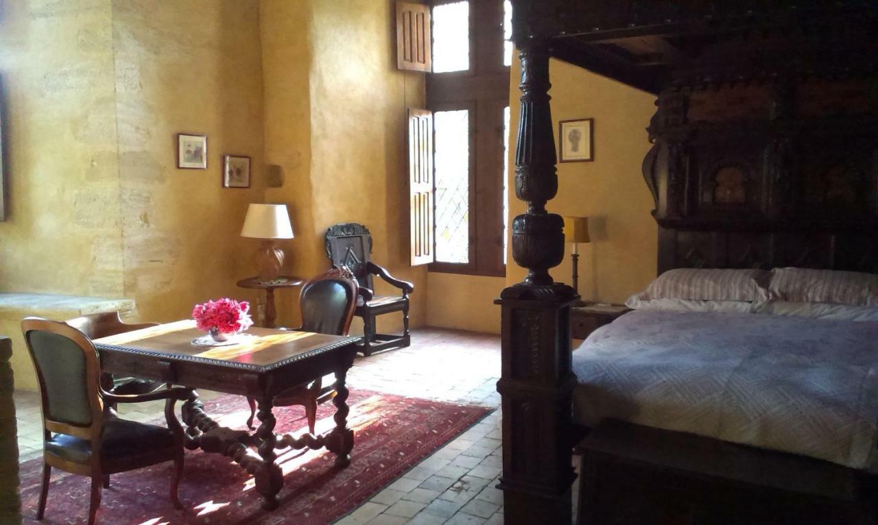Chateau De Chanze Faye-d'Anjou Kültér fotó