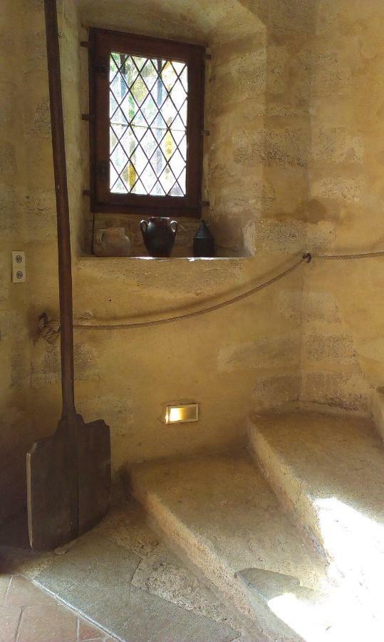 Chateau De Chanze Faye-d'Anjou Kültér fotó