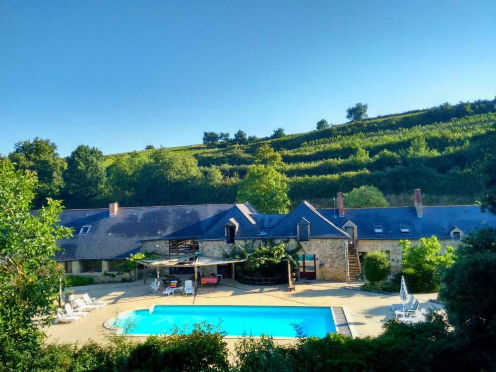 Chateau De Chanze Faye-d'Anjou Kültér fotó
